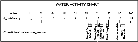 water in food